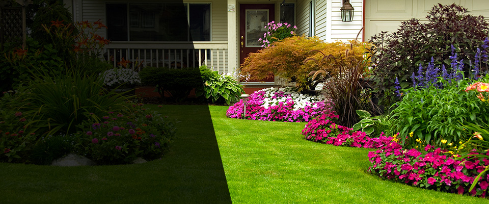 Cedartown Landscapers