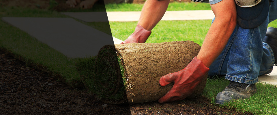 Cedartown Landscapers